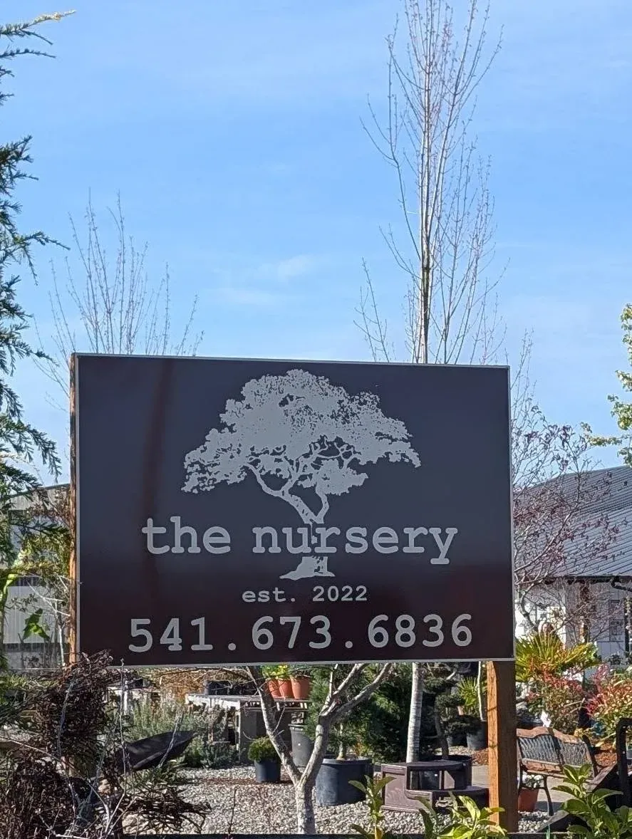 The Nursery storefront