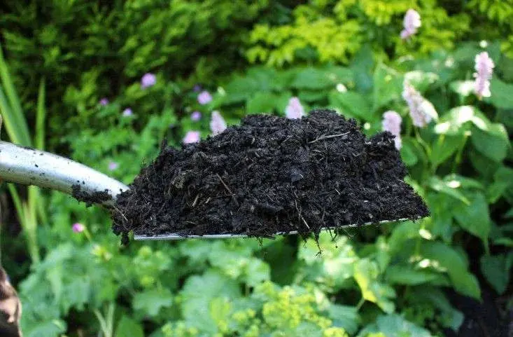 A shovel is holding a pile of dark, rich compost. The background features a lush garden with green plants and pink flowers.