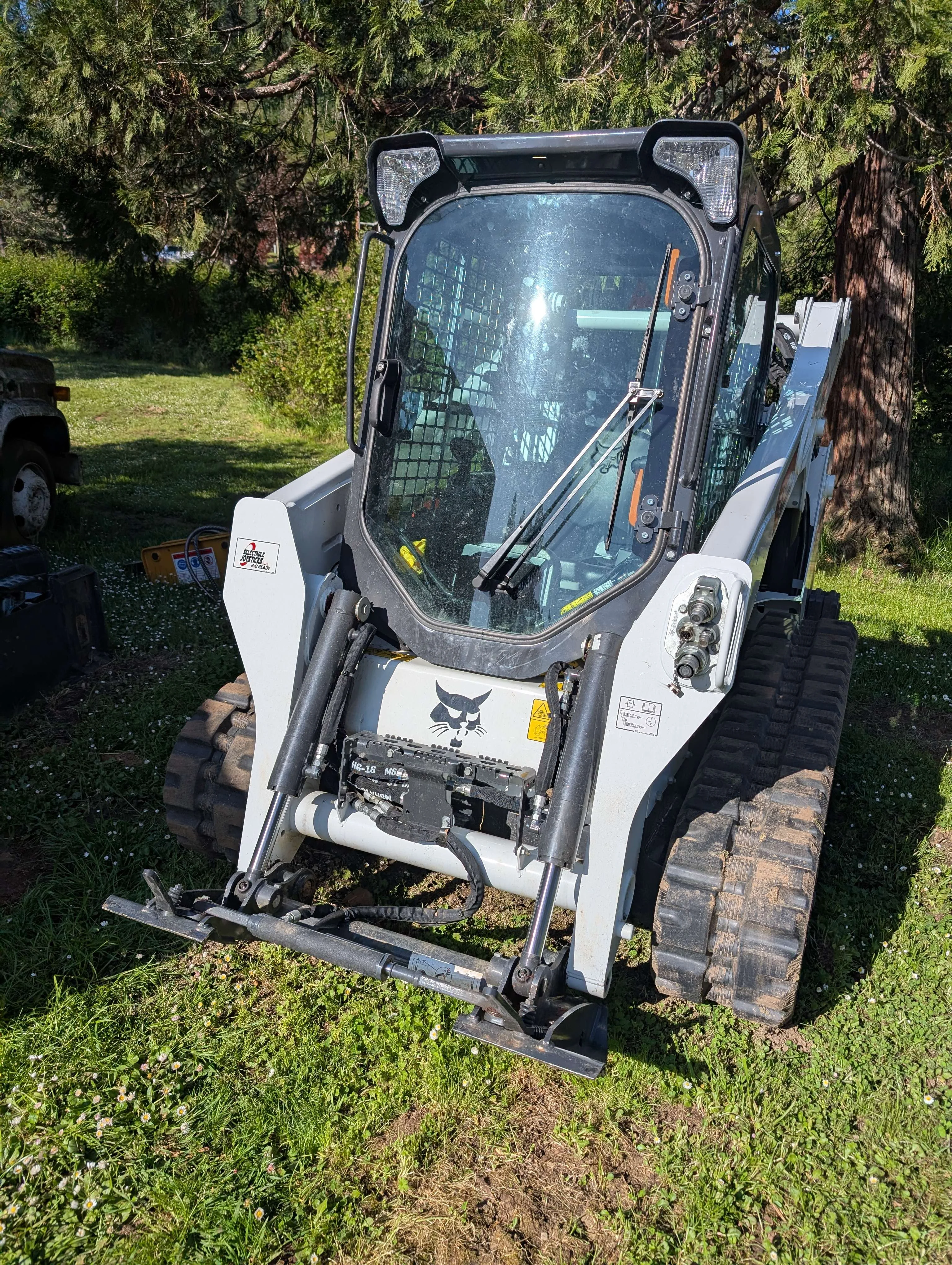 During: Bobcat clearing brush efficiently